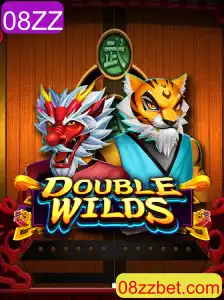 Explorando o Mundo de DoubleWilds: O Jogo Que Conquista Novos Fãs